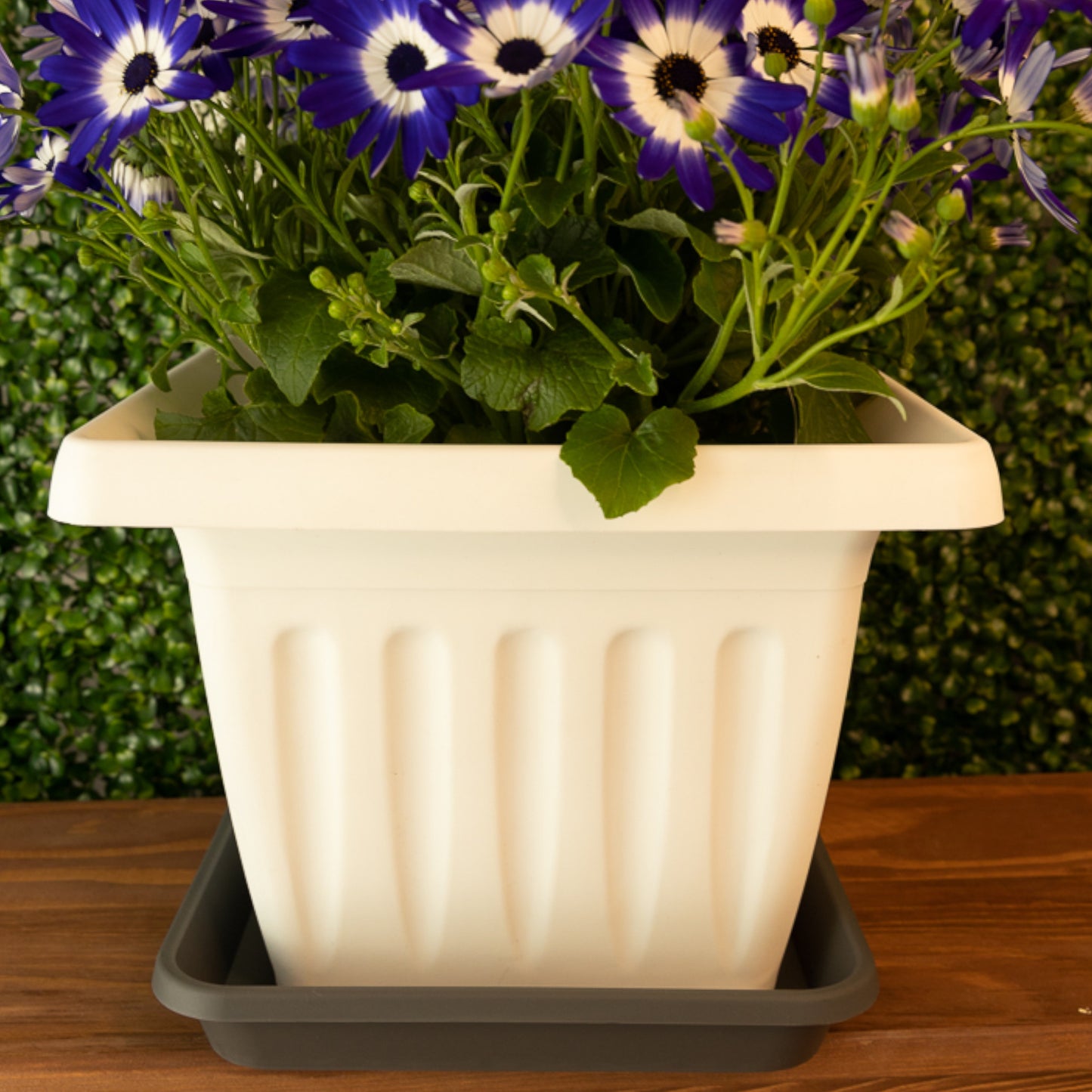 Square Plant Pot Saucers Set Of 10