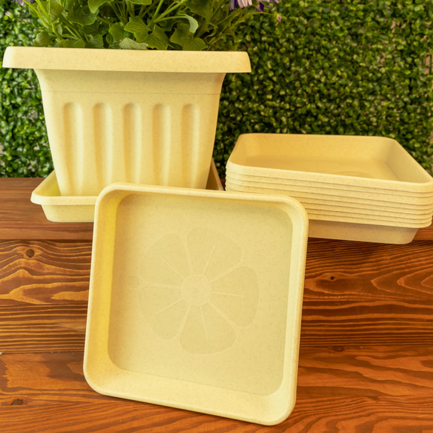 Square Plant Pot Saucers Set Of 10