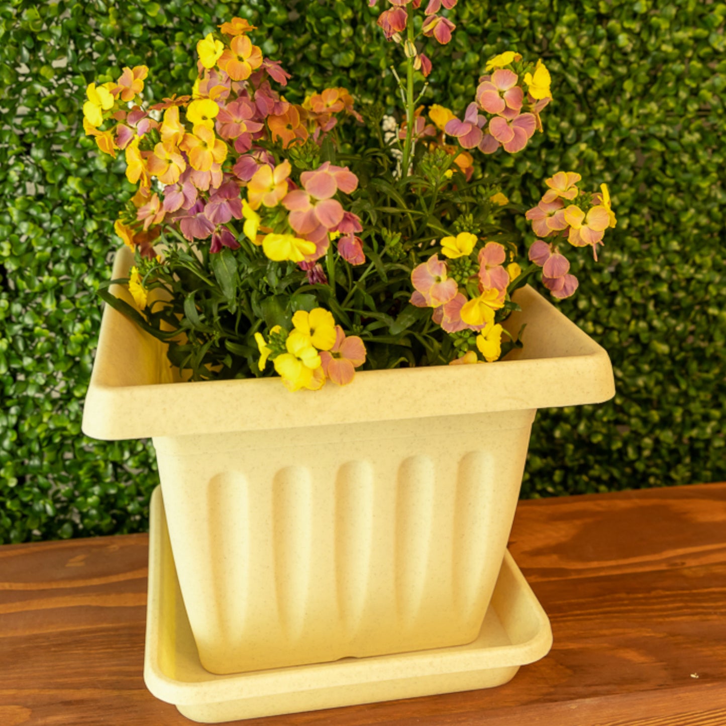 Square Plant Pot Saucers Set Of 10
