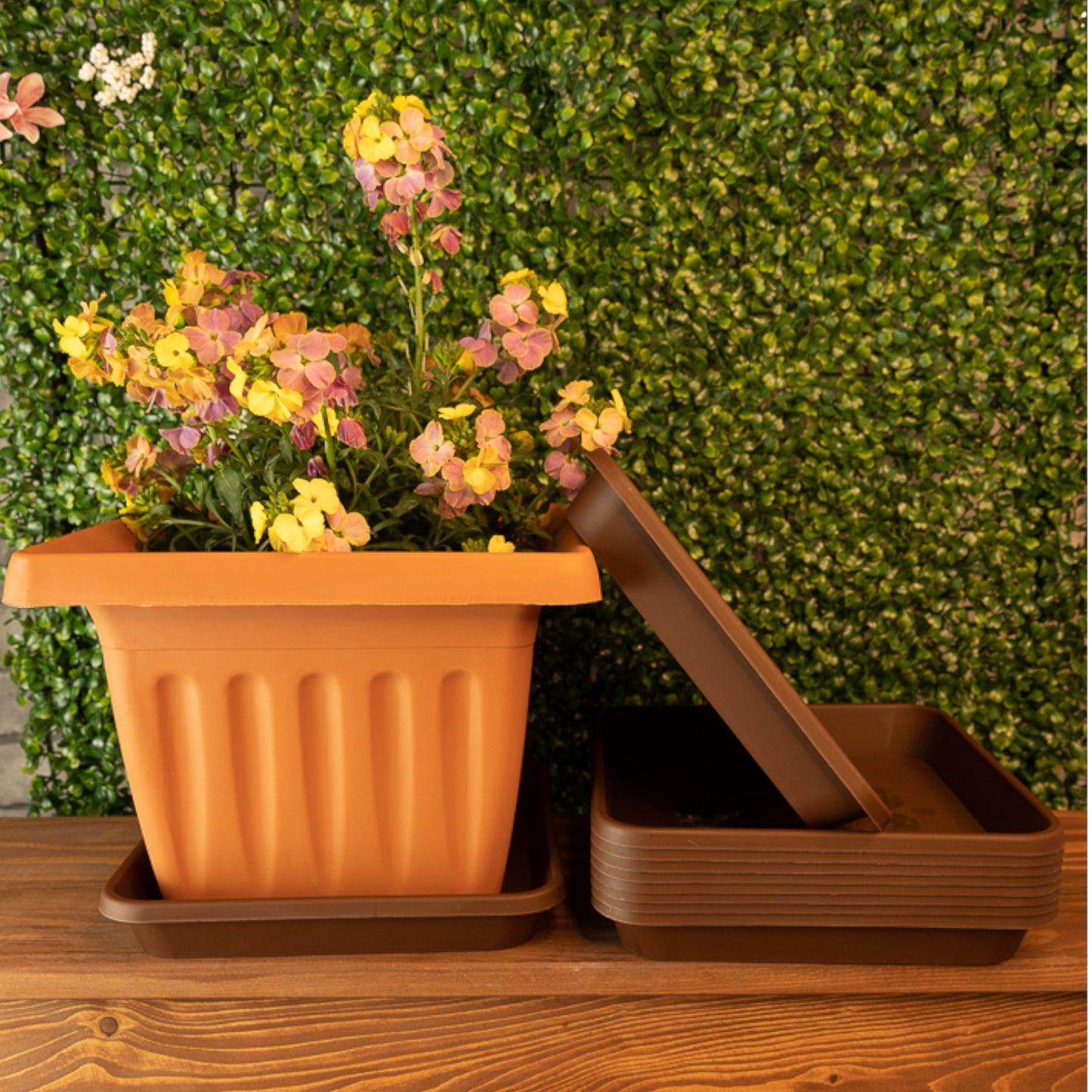 Square Plant Pot Saucers Set Of 10
