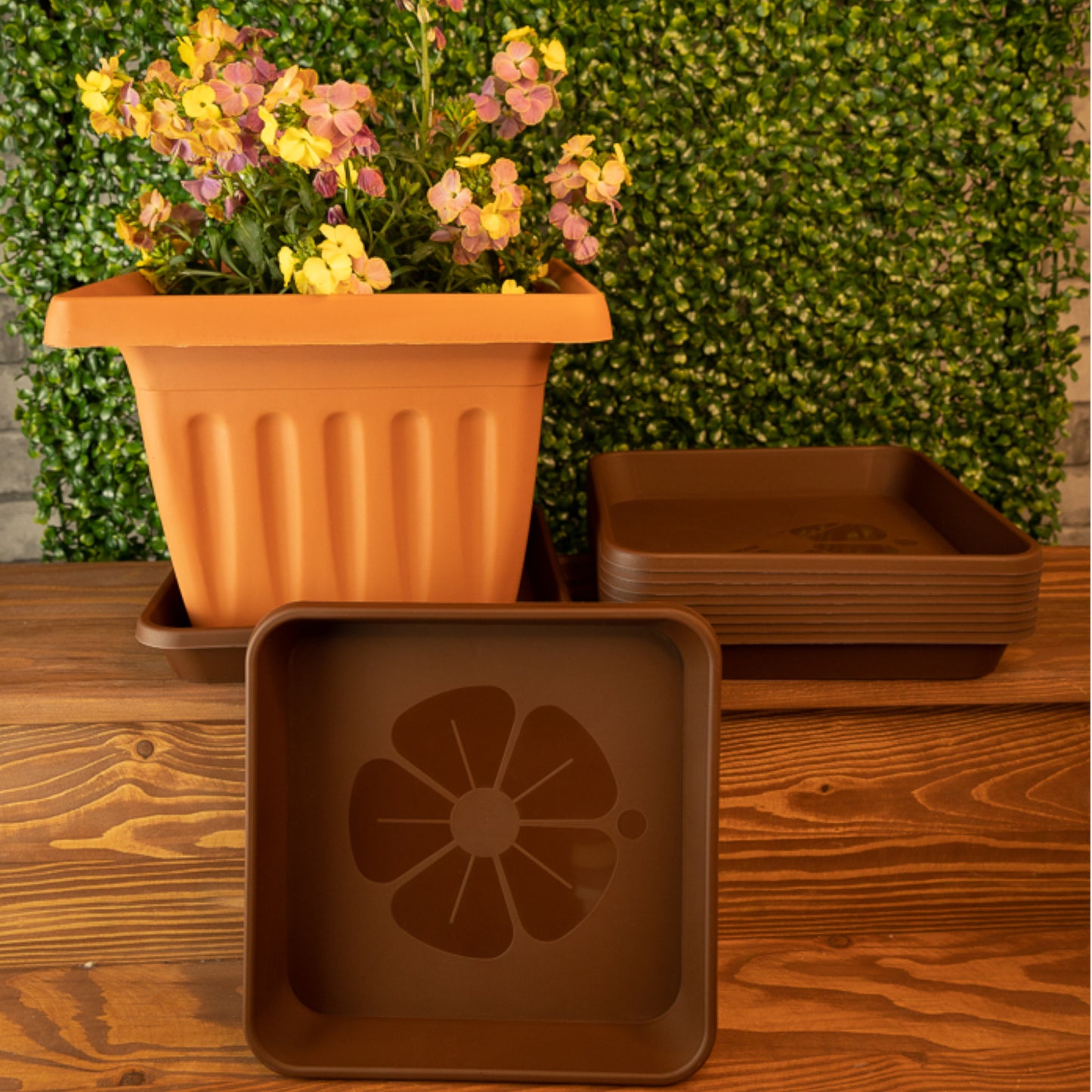 Square Plant Pot Saucers Set Of 10