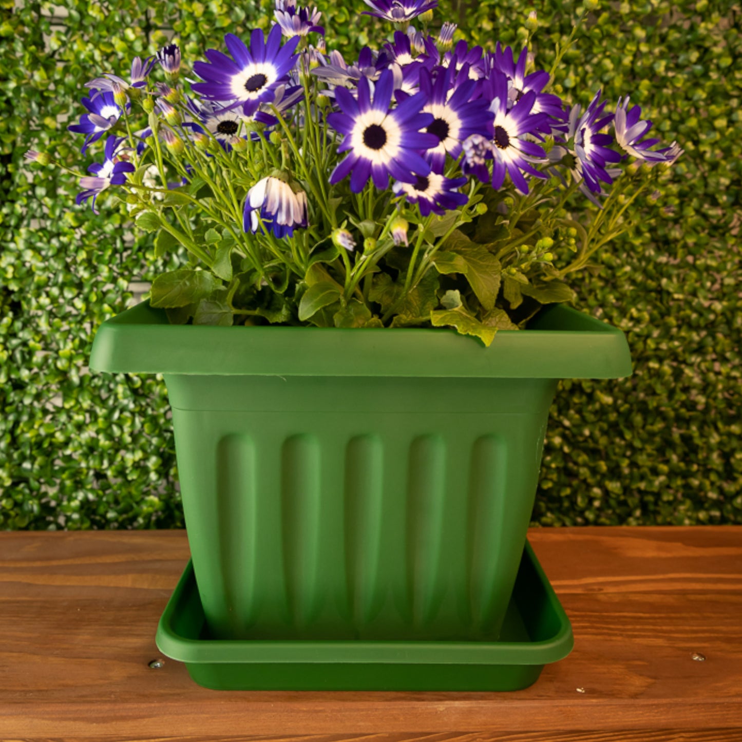 Square Plant Pot Saucers Set Of 10