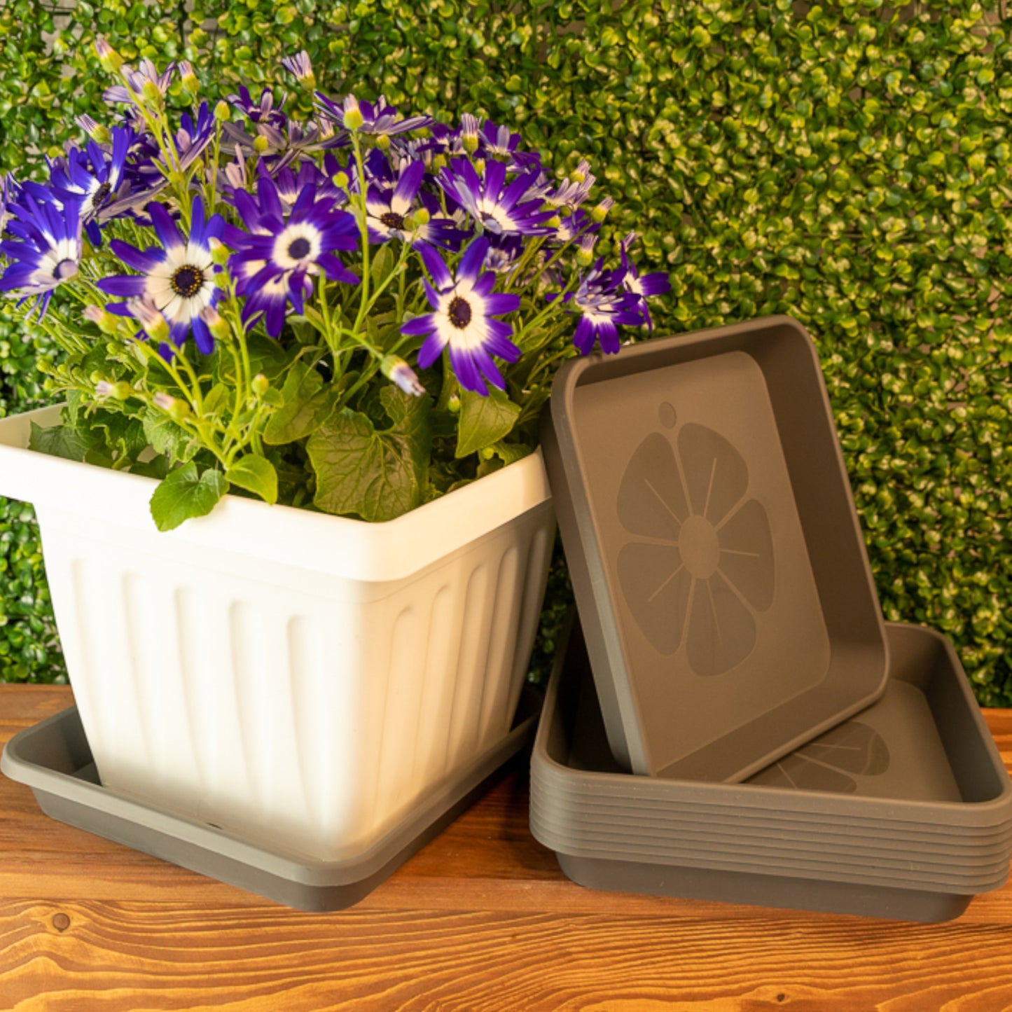 Square Plant Pot Saucers Set Of 10