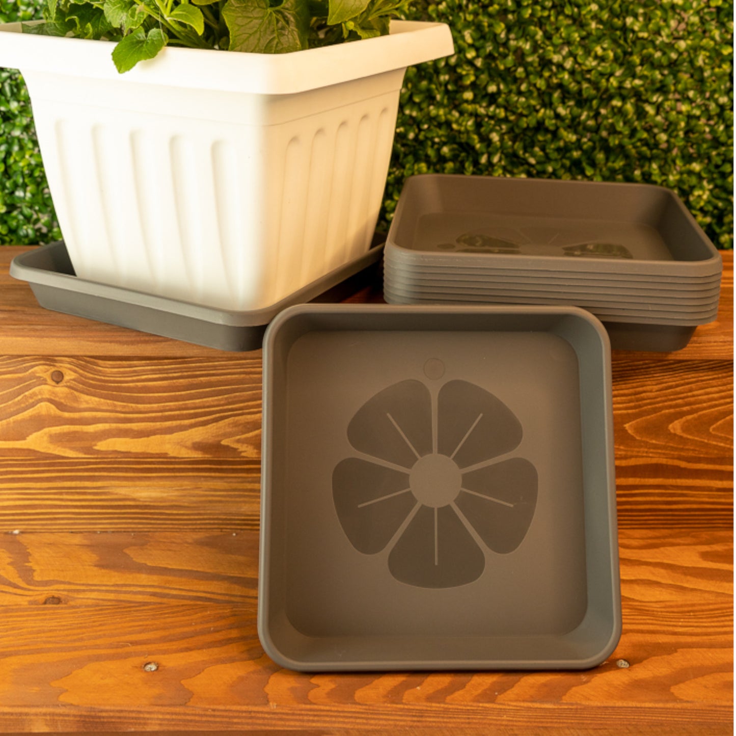 Square Plant Pot Saucers Set Of 10