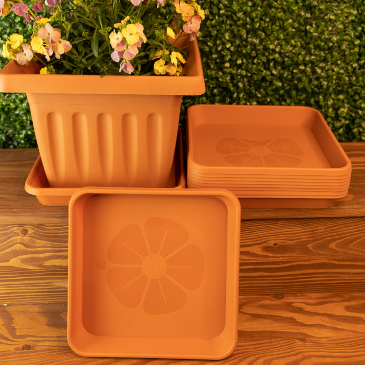 Square Plant Pot Saucers Set Of 10