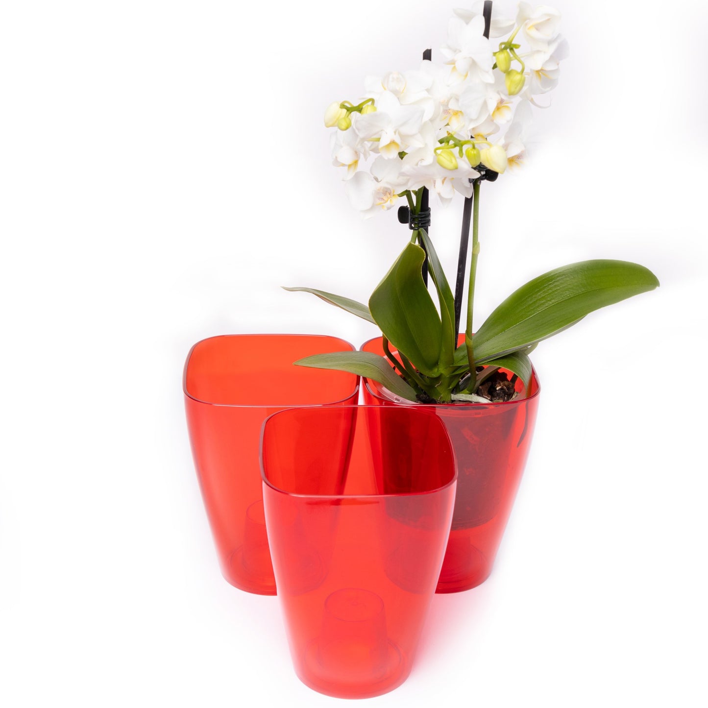 Plant Pots For Orchids Set Of 3 Transparent Square