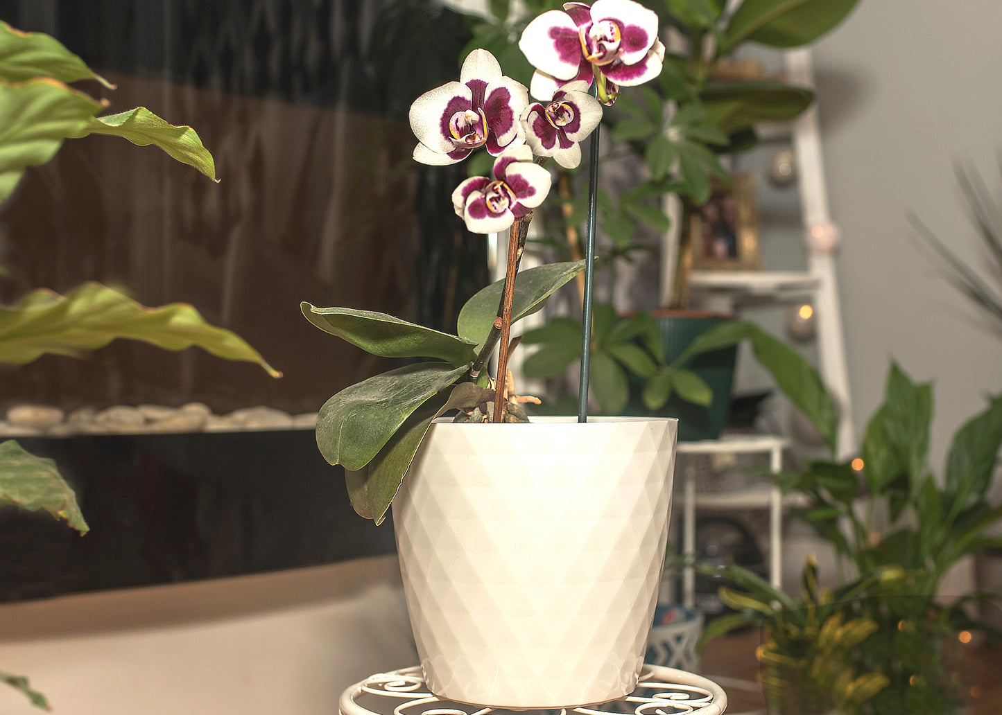 Crystal Plant Pots Set of 3 Sizes 14/16/18cm Plant Pot with Glossy Surface
