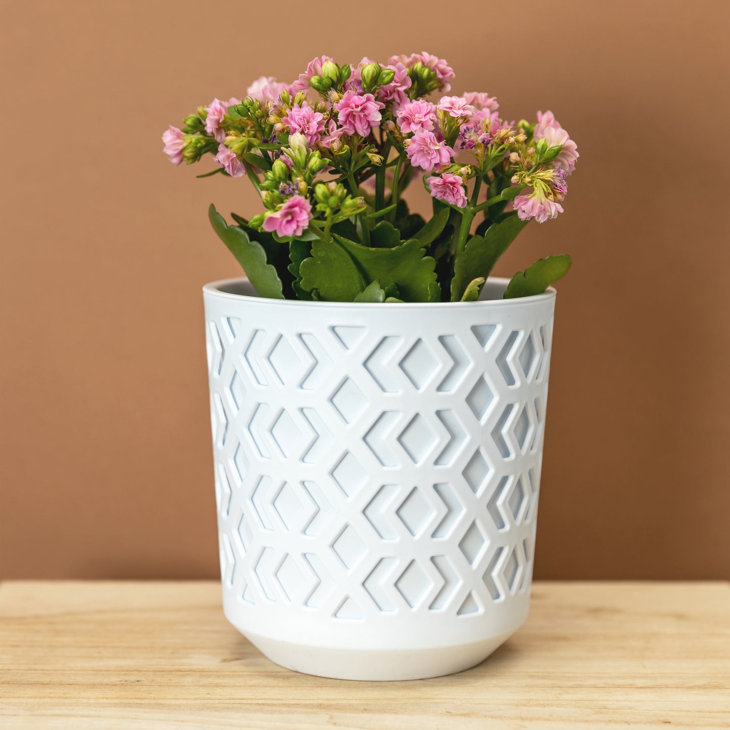 Plant Pots Indoor Mixed Set Of 3 Pot + Insert
