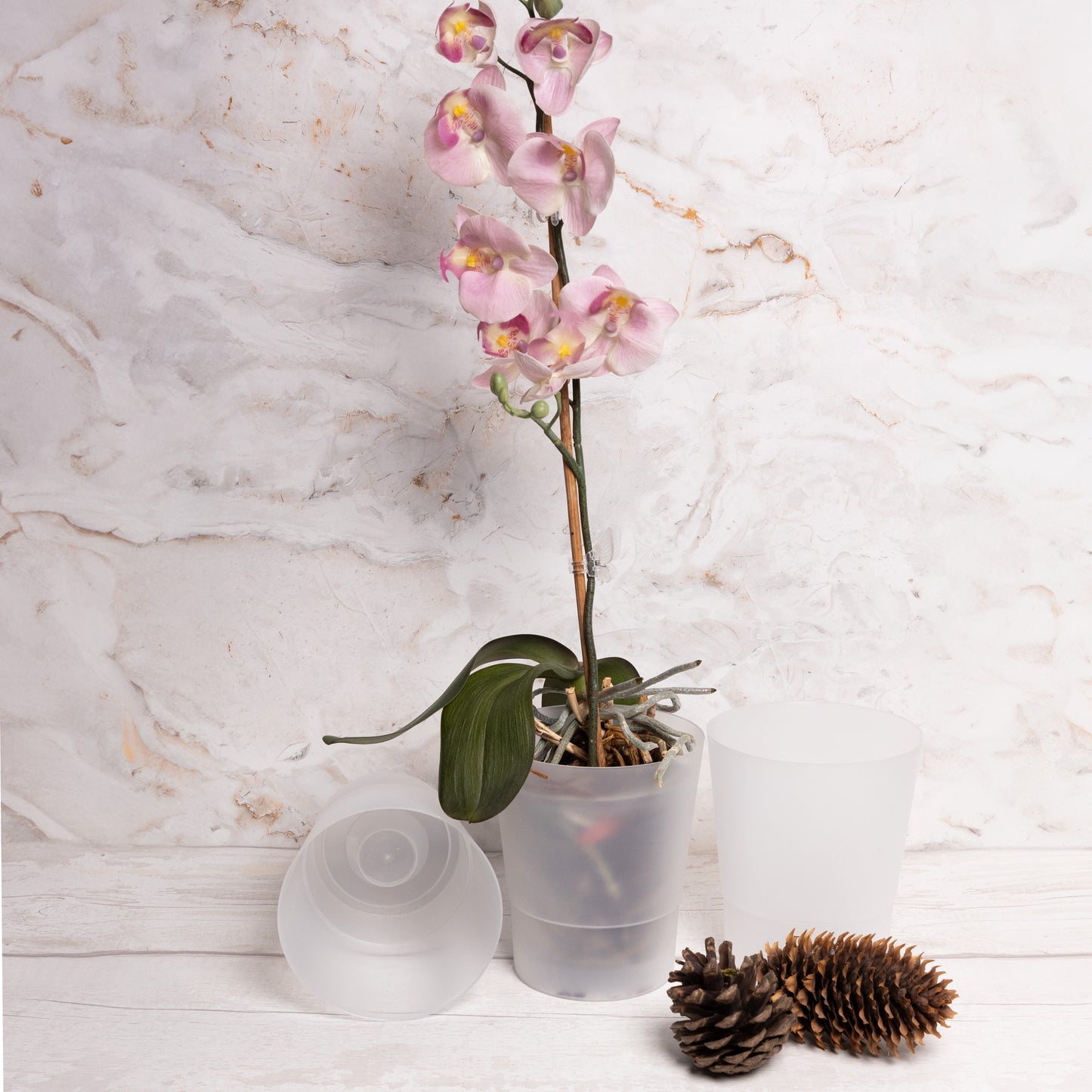 Plant Pots Indoor 12cm Diameter Set of 3 Plastic Plant Pot For Orchids Half Transparent
