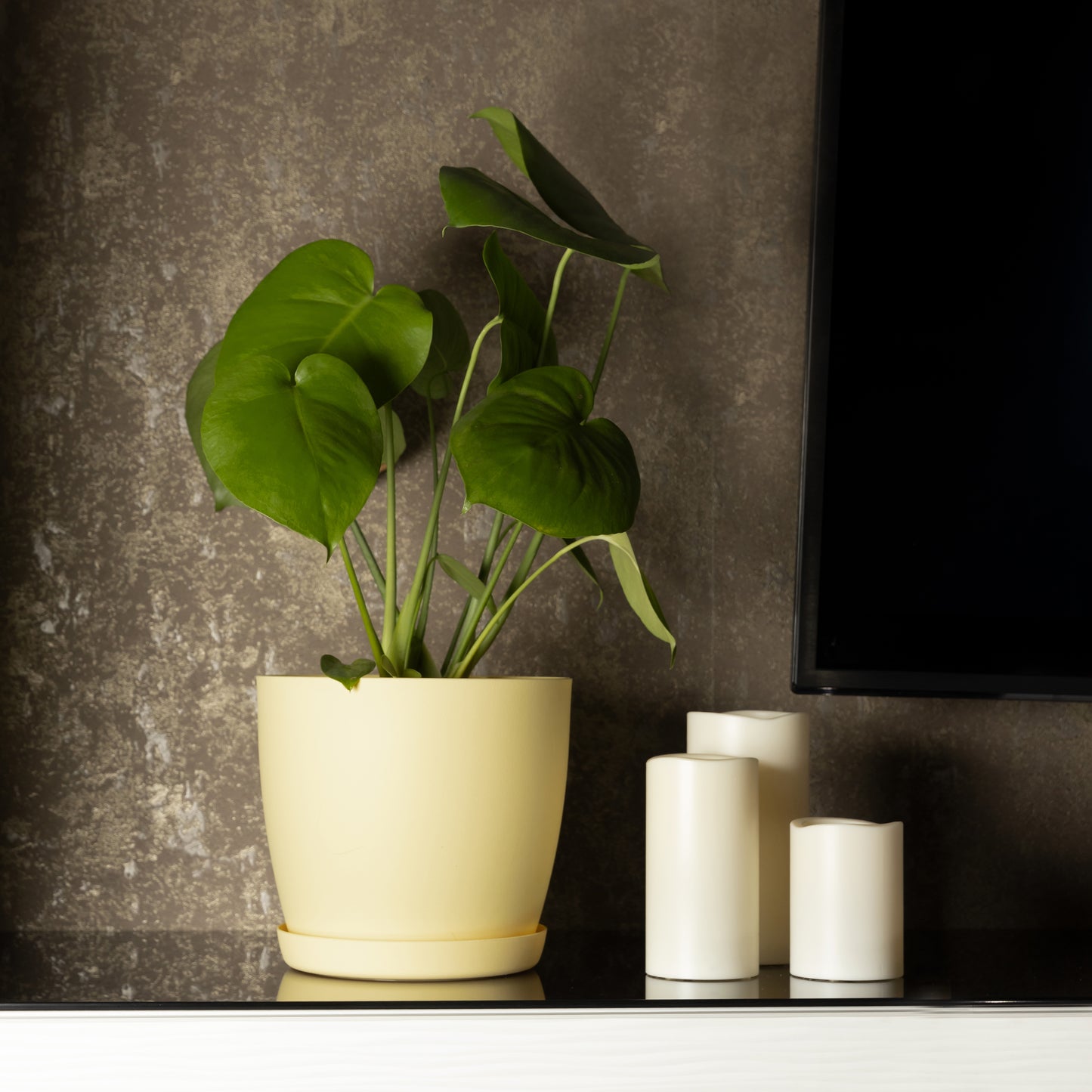 Plant Pots Indoor with Plant Saucer Flower Pots with Mat Surface and Plant Tray