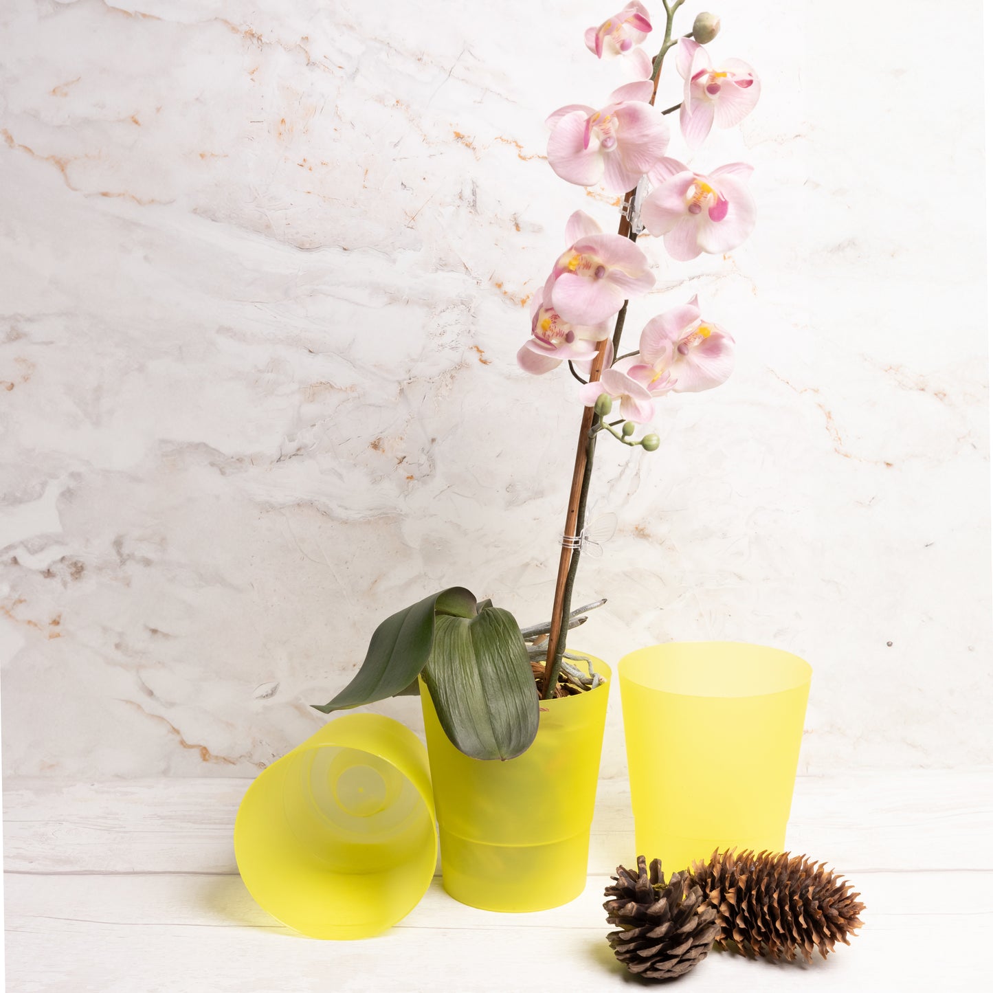 Plant Pots Indoor 12cm Diameter Set of 3 Plastic Plant Pot For Orchids Half Transparent