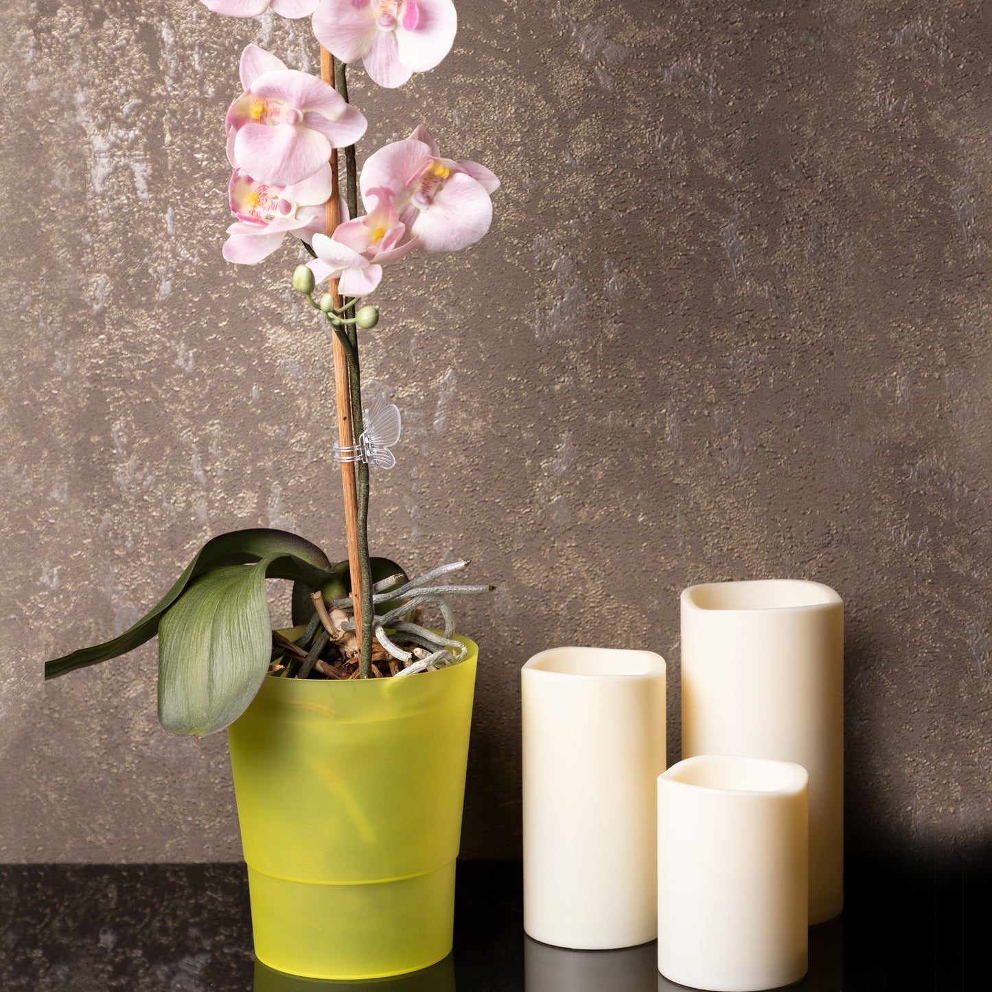 Plant Pots Indoor 12cm Diameter Set of 3 Plastic Plant Pot For Orchids Half Transparent