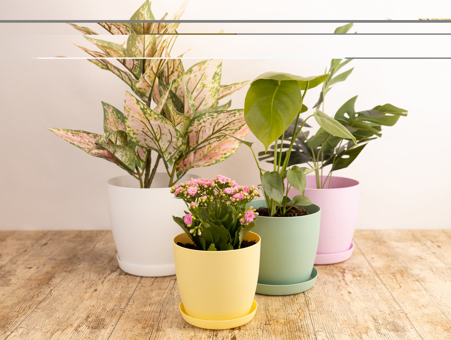 Plant Pots Indoor Matte Set of 3 Sizes 20/25/30cm – Large Plant Pot with Plant Saucer