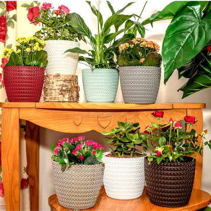 Plant Pots Indoor Knitted Set Of 3