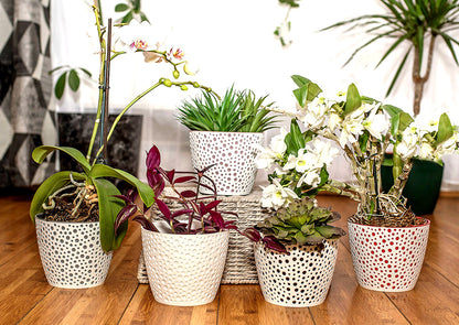 Vero Plant Pots Indoor Set of 6 Sizes 11/13/15/17/19/21cm
