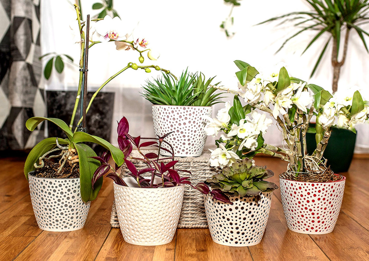 Plant Pots Indoor Vero Set of 3