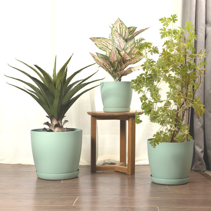 Plant Pots Indoor Matte Surface With Saucer Set of 4 Sizes 14/16/18/20cm