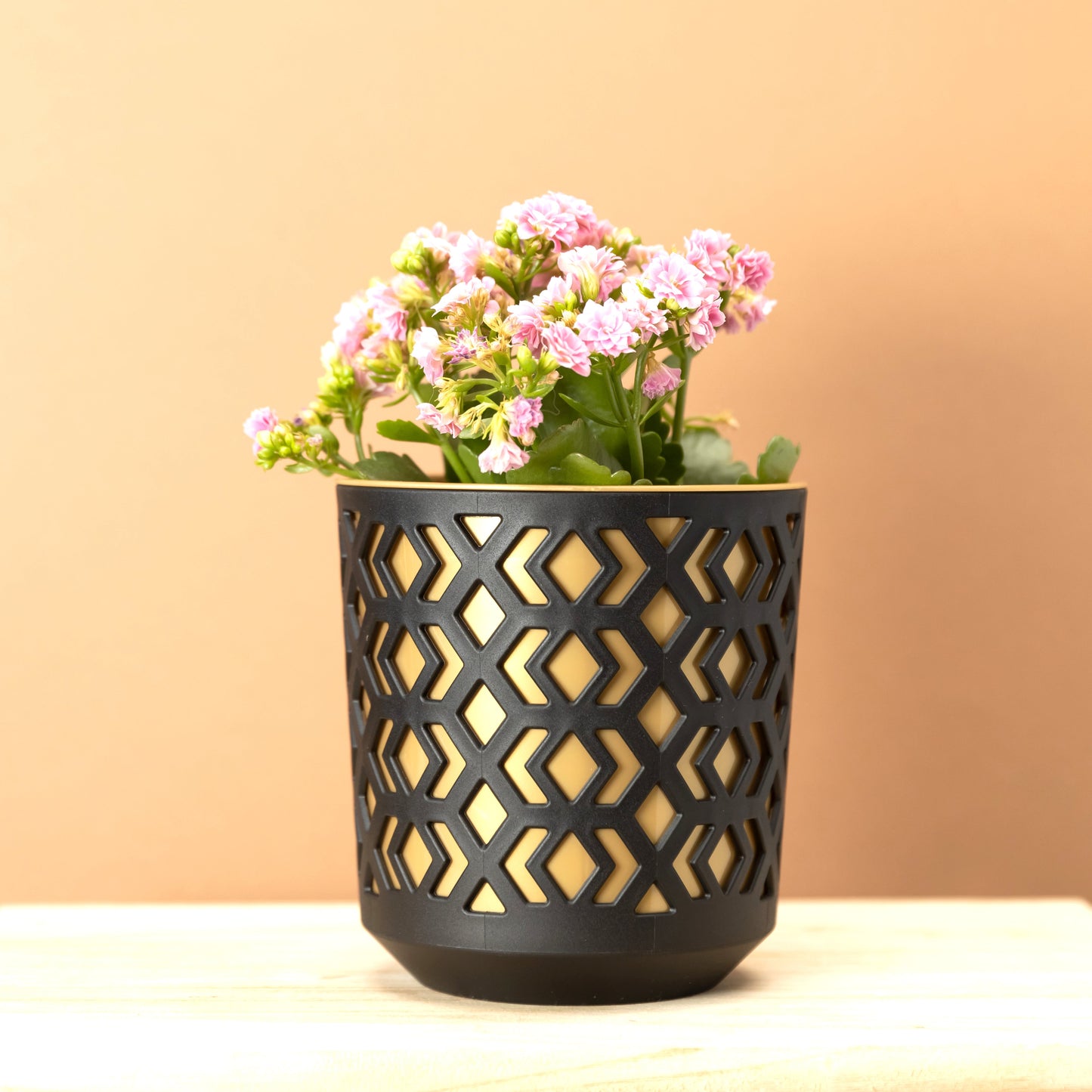 Plant Pots Indoor Mixed Decorative Pot + Insert