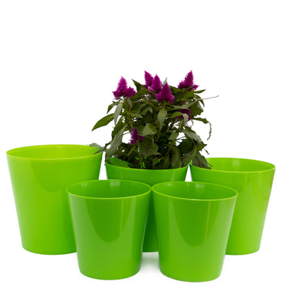 Plant Pots Indoor Aga Set of 5 Sizes 13/13/15/15/17cm