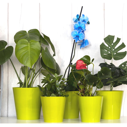 Plant Pots Indoor Aga Set of 5 Sizes 13/13/15/15/17cm