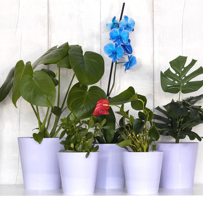 Plant Pots Indoor Aga Set of 5 Sizes 13/13/15/15/17cm