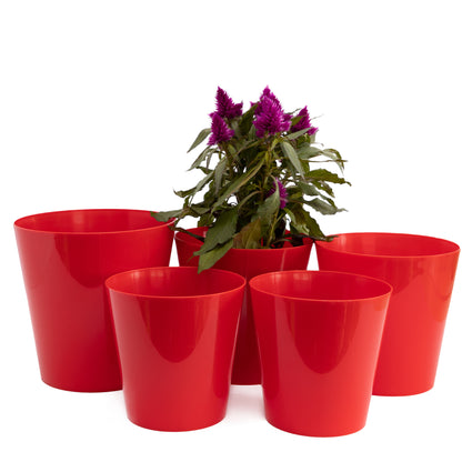 Plant Pots Indoor Aga Set of 5 Sizes 13/13/15/15/17cm