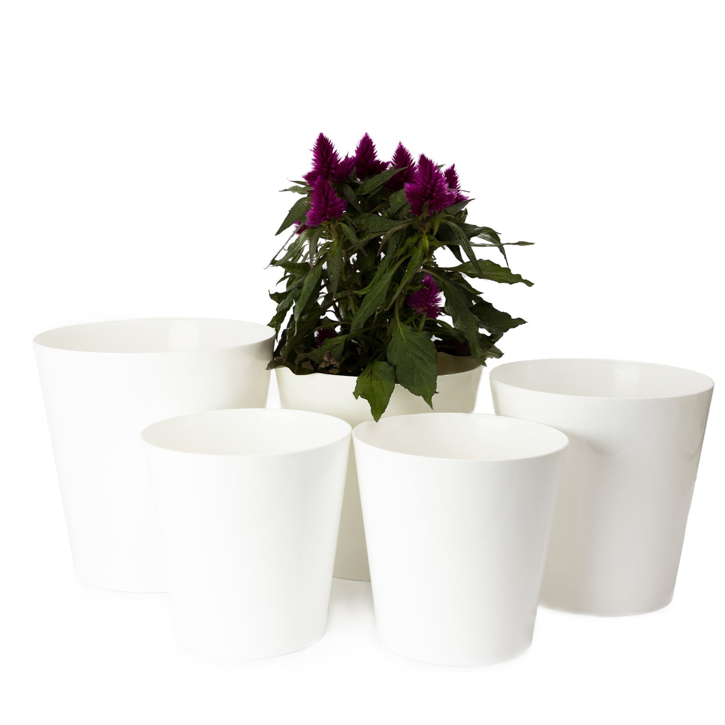 Plant Pots Indoor Aga Set of 5 Sizes 13/13/15/15/17cm