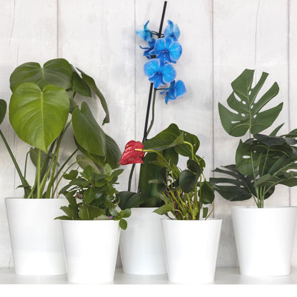 Plant Pots Indoor Aga Set of 5 Sizes 13/13/15/15/17cm