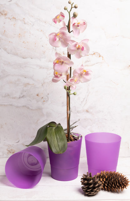 Plant Pots Indoor 12cm Diameter Set of 3 Plastic Plant Pot For Orchids Half Transparent