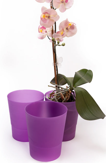 Plant Pots Indoor 12cm Diameter Set of 3 Plastic Plant Pot For Orchids Half Transparent