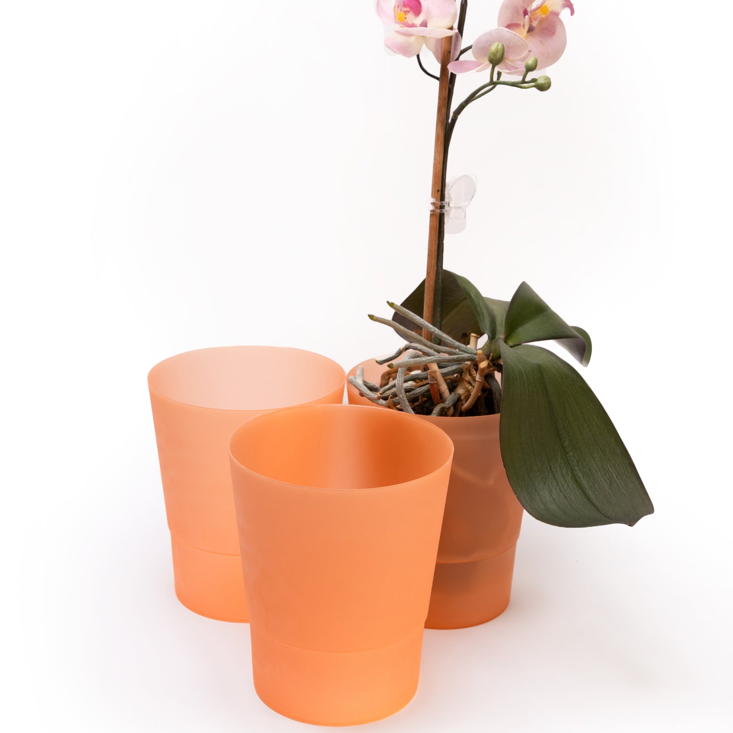 Plant Pots Indoor 12cm Diameter Set of 3 Plastic Plant Pot For Orchids Half Transparent