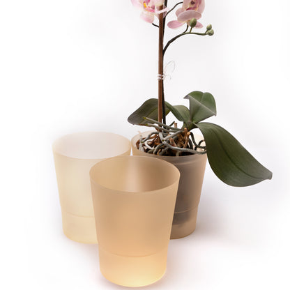 Plant Pots Indoor 12cm Diameter Set of 3 Plastic Plant Pot For Orchids Half Transparent