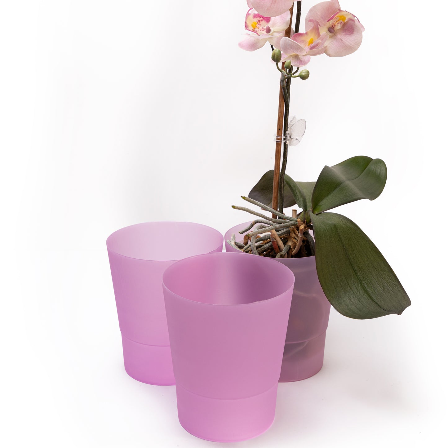 Plant Pots Indoor 12cm Diameter Set of 3 Plastic Plant Pot For Orchids Half Transparent