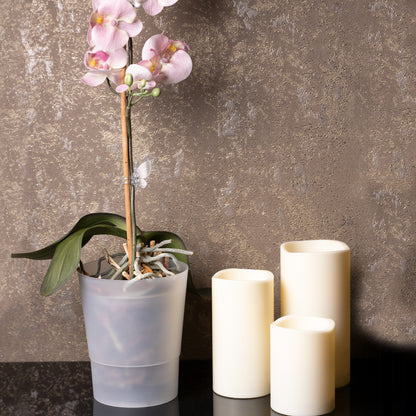 Plant Pots Indoor 12cm Diameter Set of 3 Plastic Plant Pot For Orchids Half Transparent