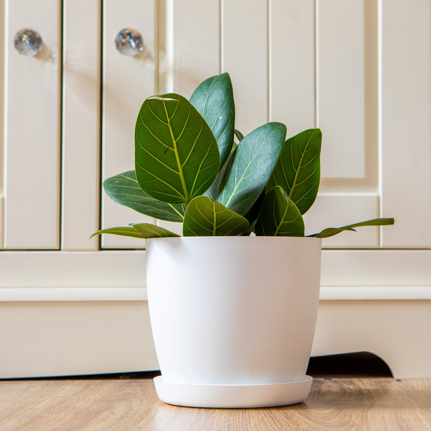 Set Of 3 Plant Pots Indoor Matte 14/16/18 Large Medium Small With Saucer Deco