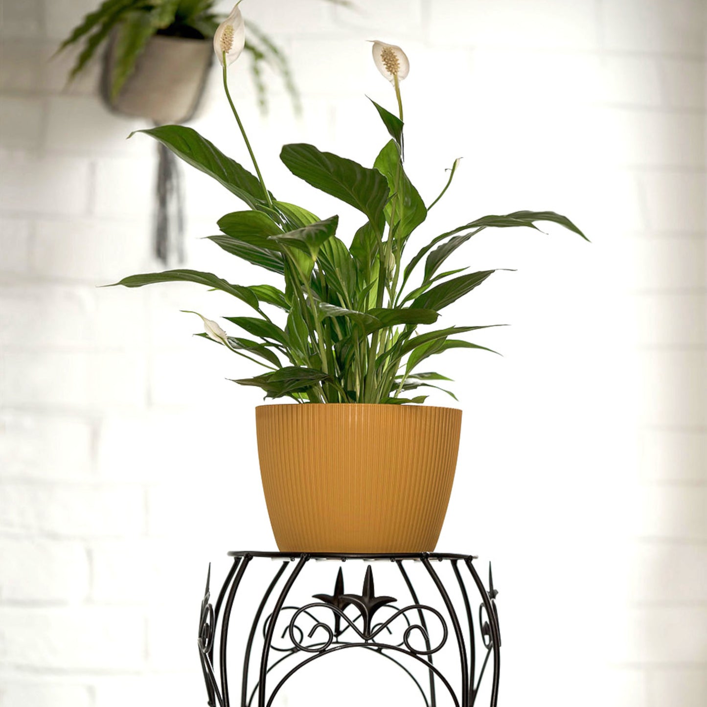 Plant Pots Indoor Set Of 3 Striped Pattern