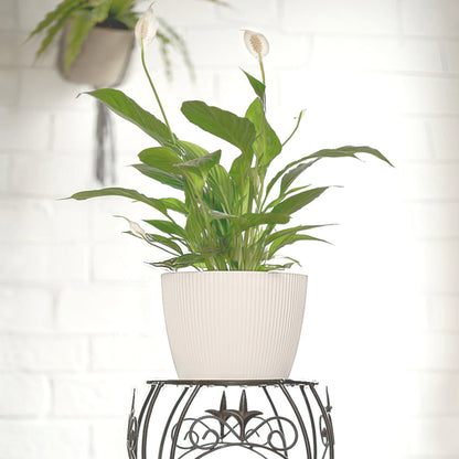 Plant Pots Indoor Set Of 3 Striped Pattern