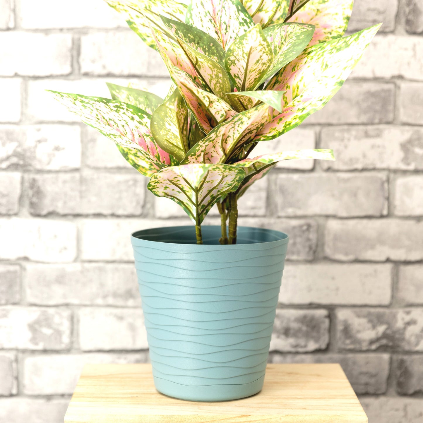 Plant Pots Indoor Tedi Set Of 5 Sizes 13/15/17/19/21cm