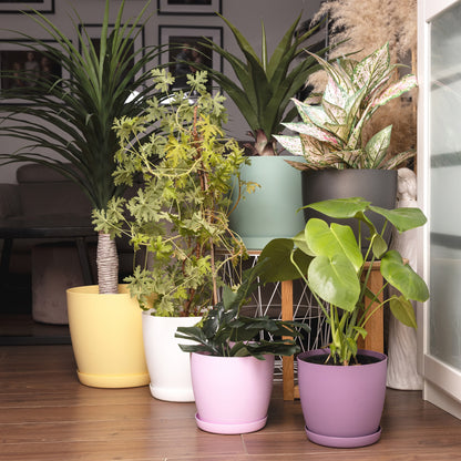 Plant Pots Indoor  Set of 5 Sizes 9.5/12/14/16/18cm Matt Surface With Saucer