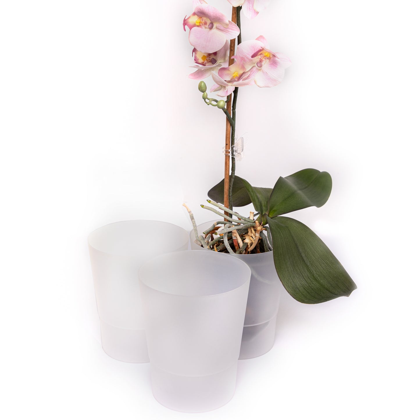 Plant Pots Indoor 12cm Diameter Set of 3 Plastic Plant Pot For Orchids Half Transparent