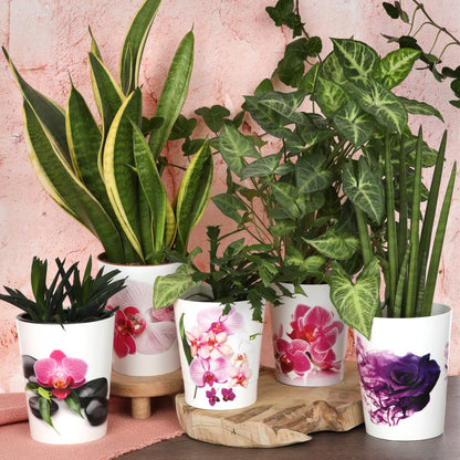 Plant Pots For Orchids 15.5cm Set Of 3 Exotic Pattern