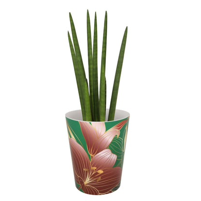 Plant Pots For Orchids 15.5cm Set Of 3 Exotic Pattern