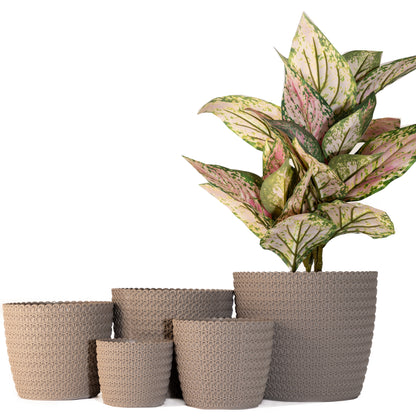 Plant Pots Indoor Jersey Set Of 5 Sizes : 11/14/16/18/21.5cm