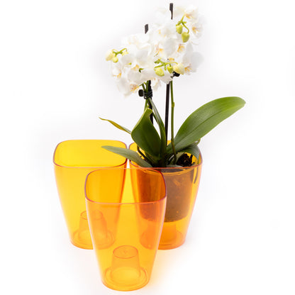 Plant Pots For Orchids Set Of 3 Transparent Square