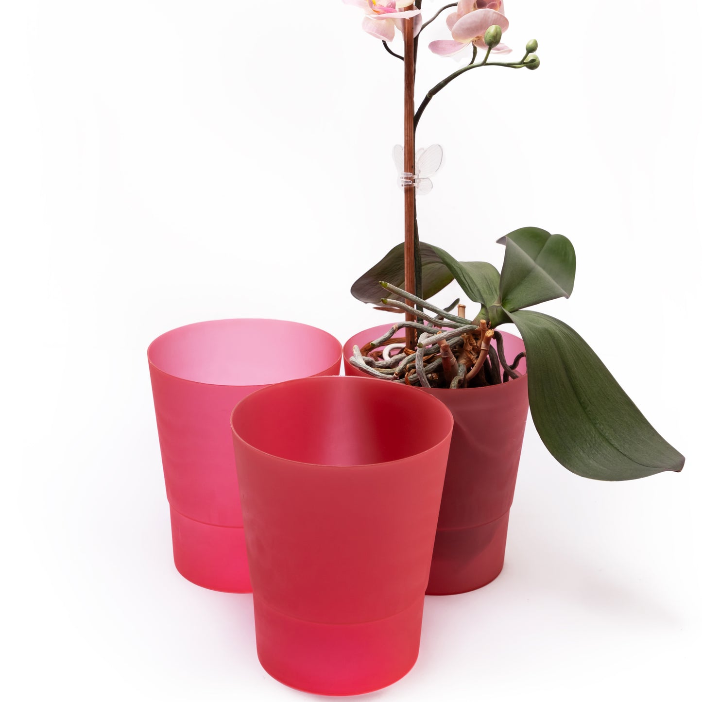 Plant Pots Indoor 12cm Diameter Set of 3 Plastic Plant Pot For Orchids Half Transparent