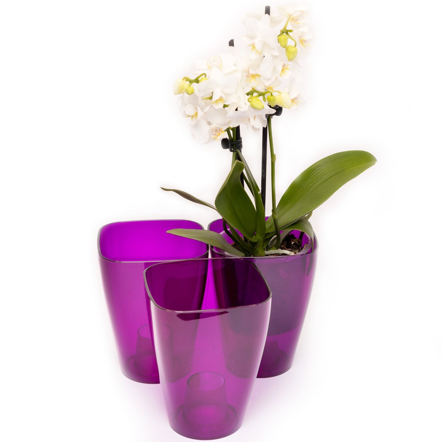 Plant Pots For Orchids Set Of 3 Transparent Square