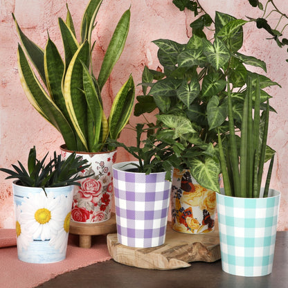 Plant Pots For Orchids 15.5cm Set Of 3 Exotic Pattern