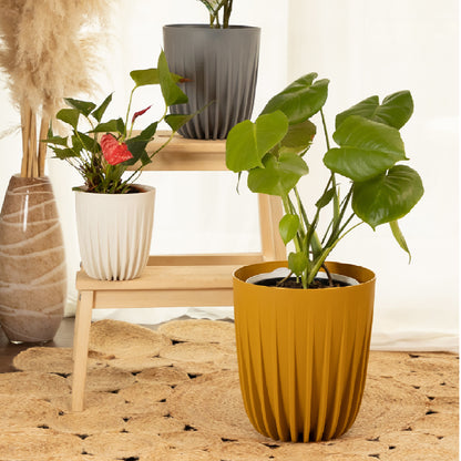 Plant Pots Indoor Outdoor Luxy Set Of 3 14.5/19/25cm