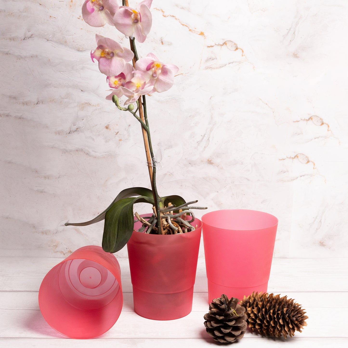 Plant Pots Indoor 12cm Diameter Set of 3 Plastic Plant Pot For Orchids Half Transparent