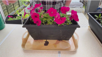 Plant Pot Saucers Set Of 5  Rectangular Flower Pots Trays